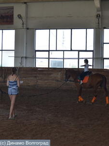 Физкультурно-спортивный праздник по конному спорту среди детей сотрудников органов безопасности и правопорядка и детей с особенностями развития